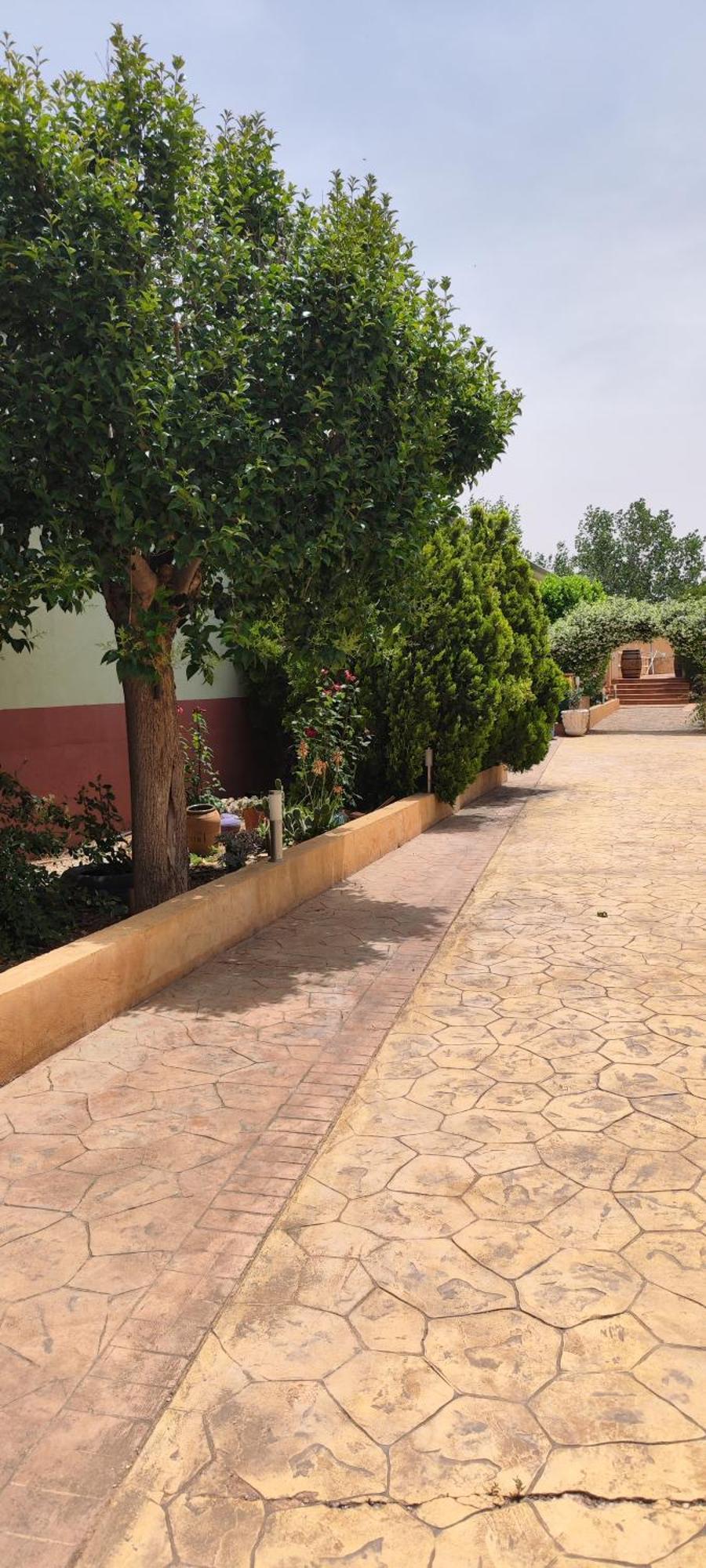 Casa Rural El Tejar San Clemente  Bagian luar foto