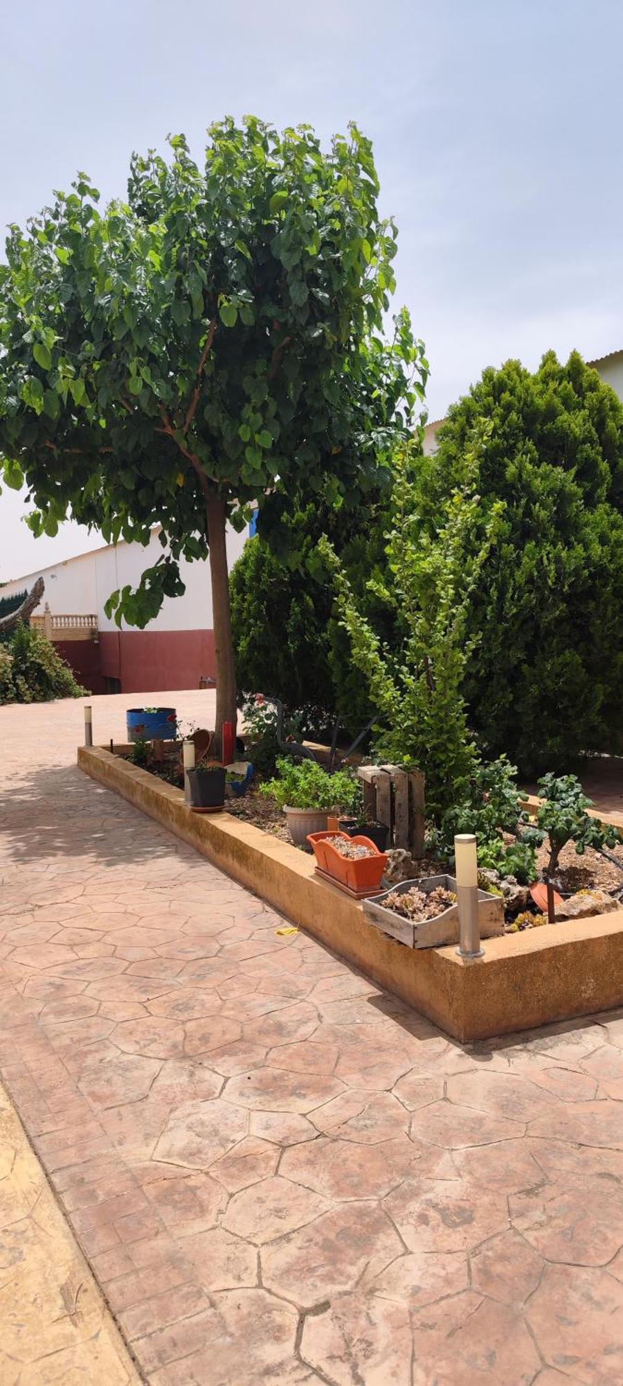 Casa Rural El Tejar San Clemente  Bagian luar foto